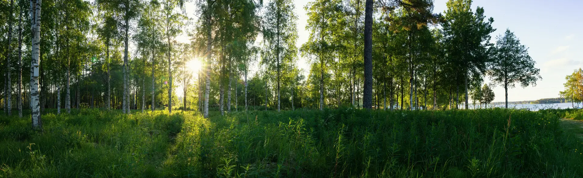 Byta FTX-aggregat Falköping
