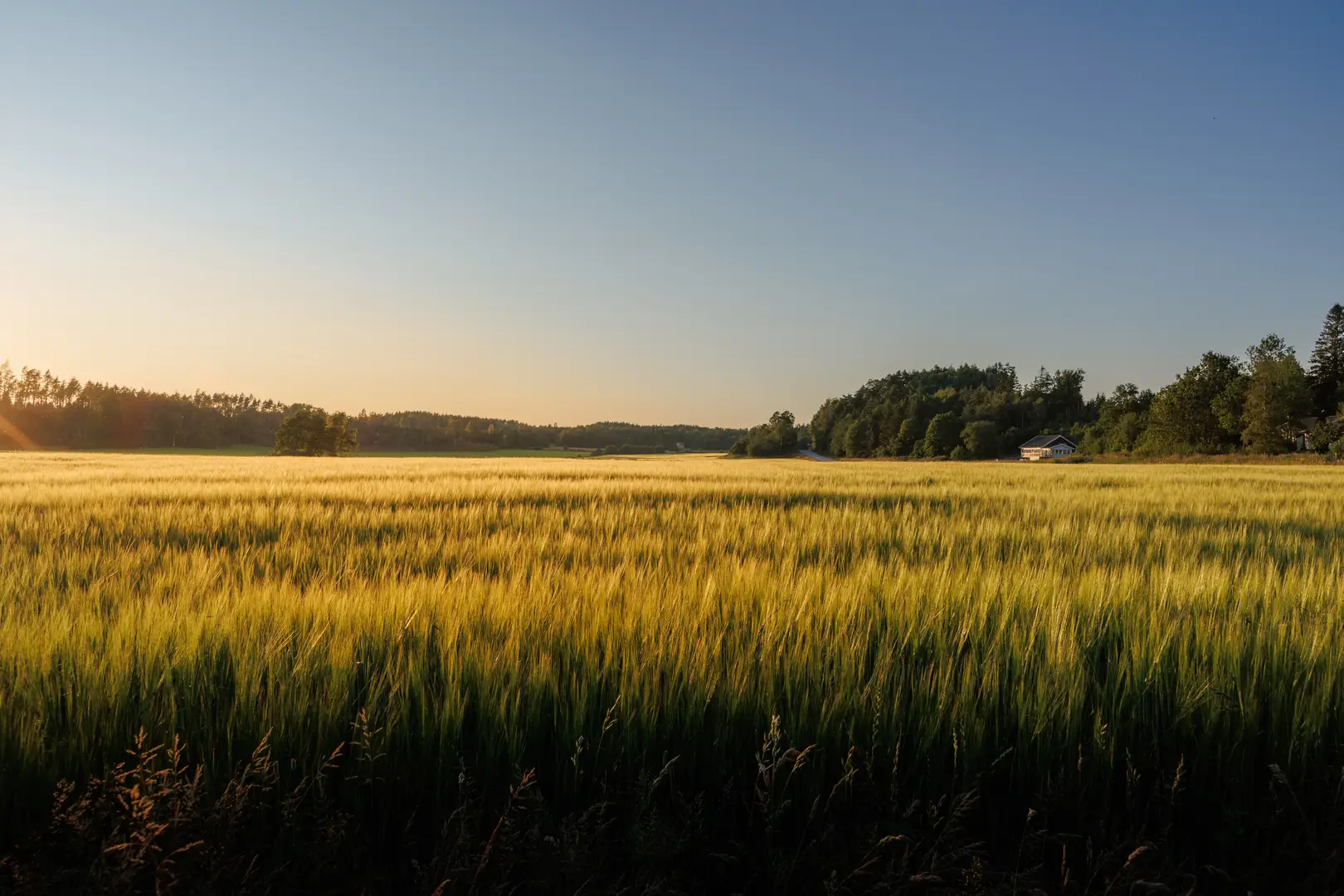 Radonsanering Falköping
